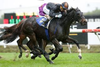 Our Abbadean (NZ) has a sparkling win in the Group 2 Travis Stakes. Photo: Trish Dunell